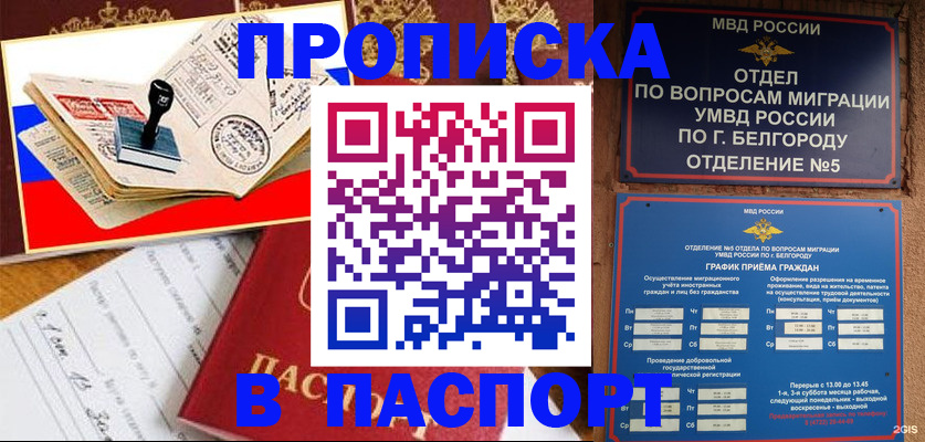 купить прописку в Павлово